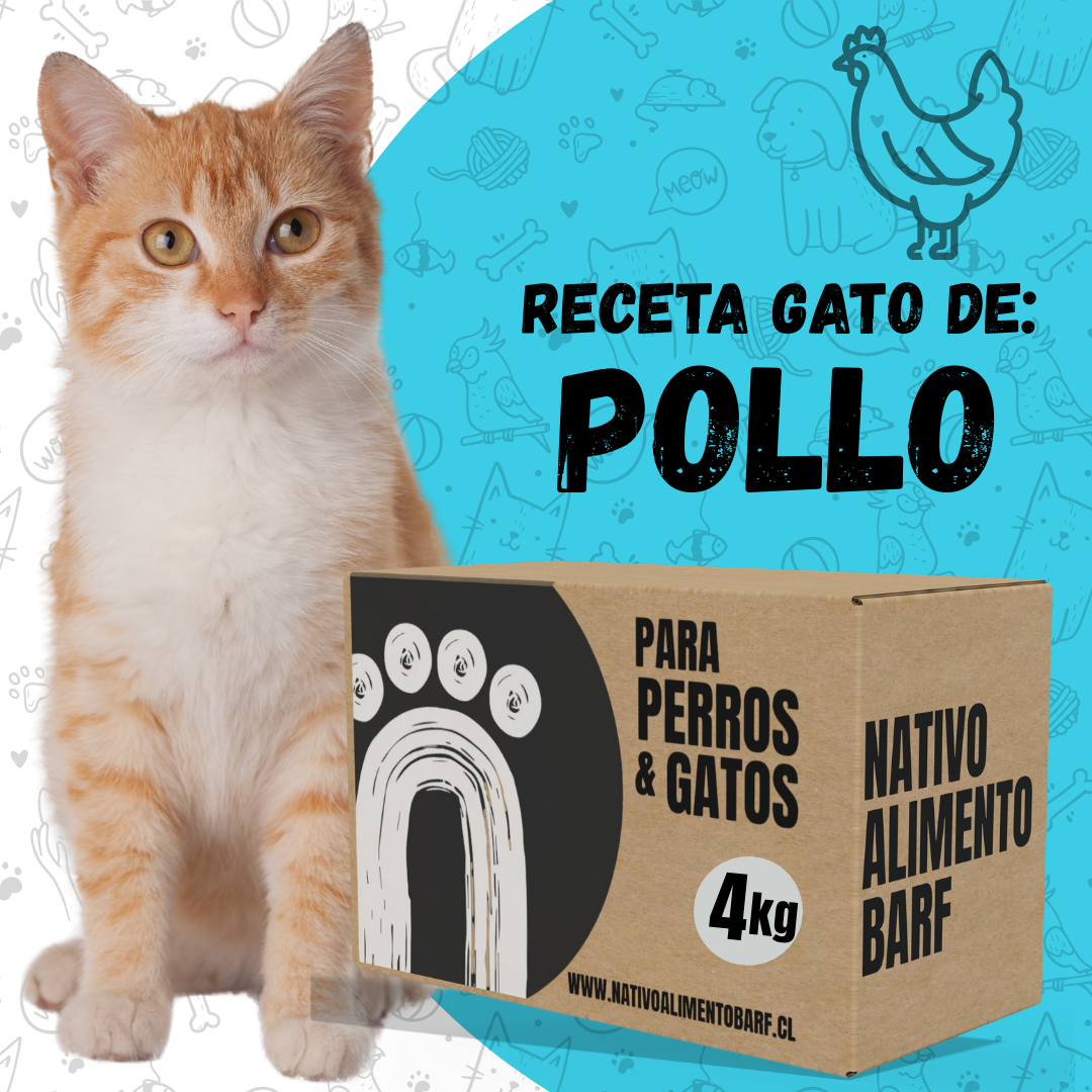 PACK 4Kg RECETA BALANCEADA PARA GATOS NATIVO