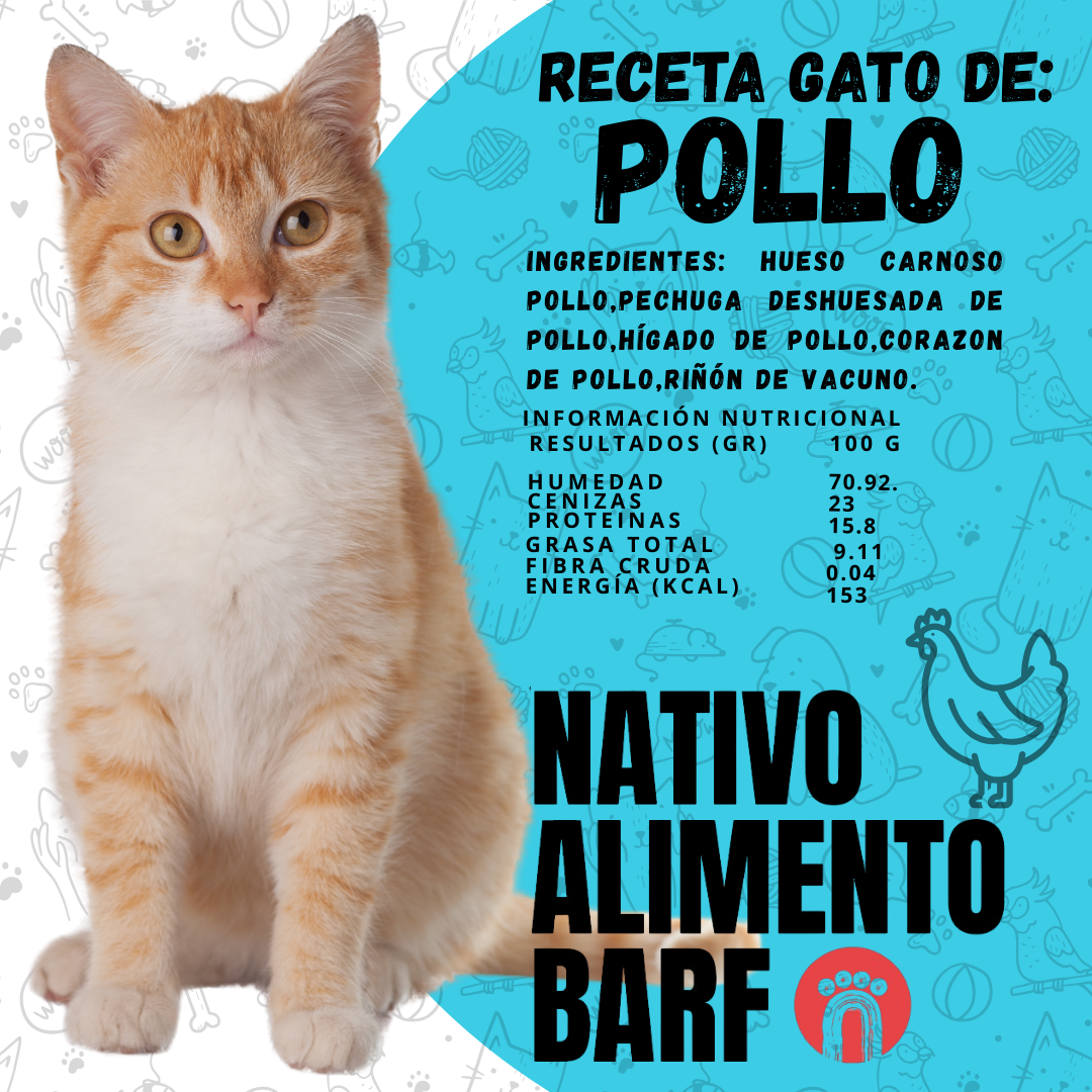PACK 4Kg RECETA BALANCEADA PARA GATOS NATIVO