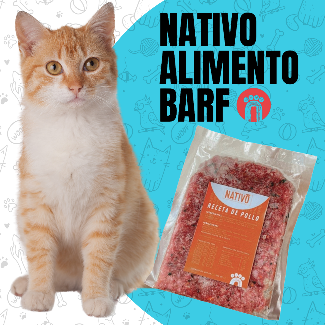 PACK 4Kg RECETA BALANCEADA PARA GATOS NATIVO