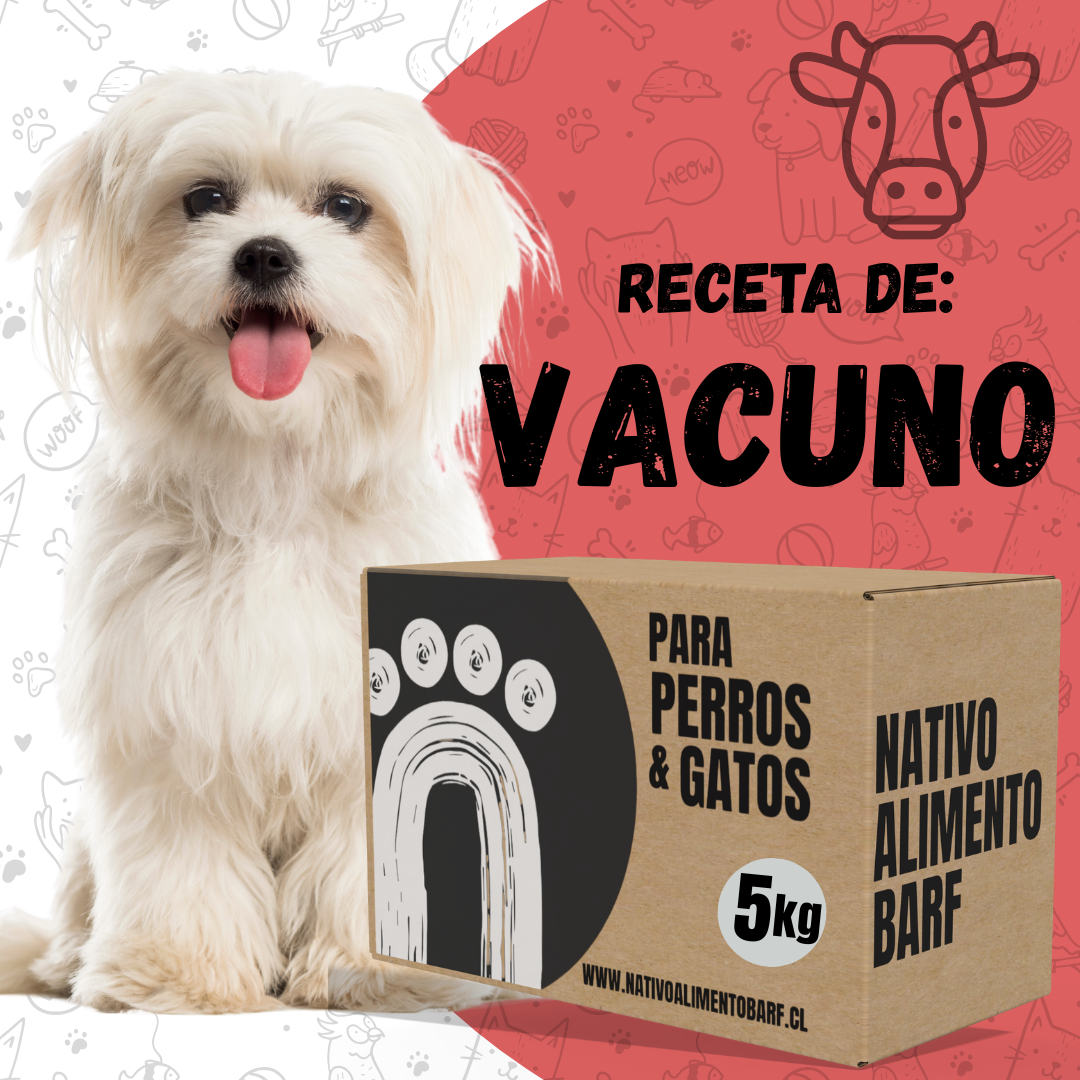 PACK 5Kg RECETA BALANCEADA VACUNO PARA PERROS NATIVO