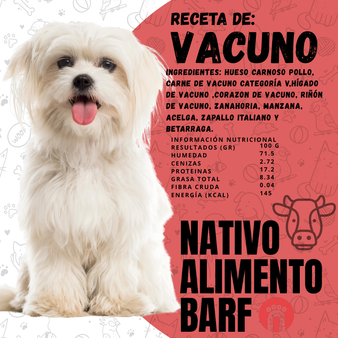 PACK 5Kg RECETA BALANCEADA VACUNO PARA PERROS NATIVO