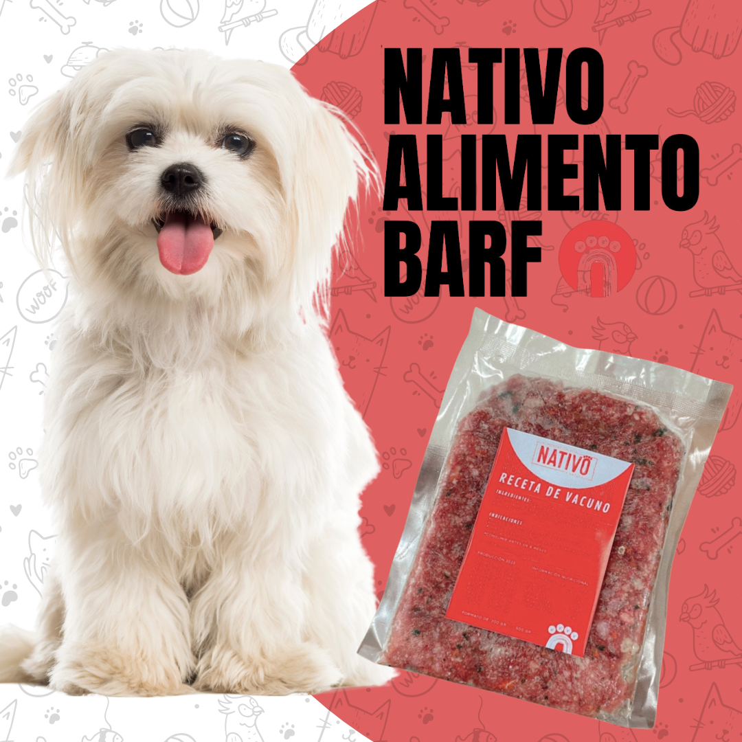 PACK 5Kg RECETA BALANCEADA VACUNO PARA PERROS NATIVO