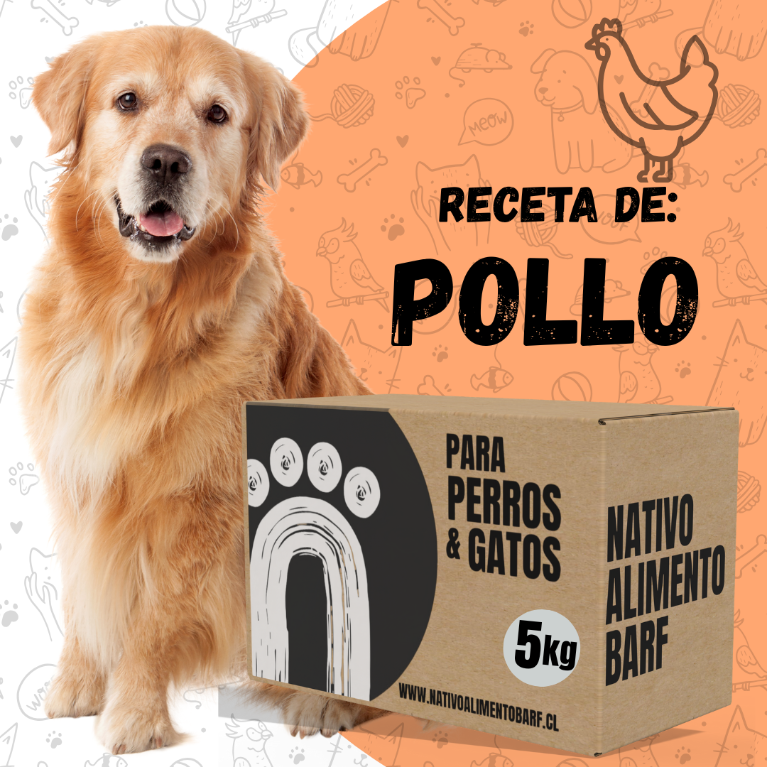 PACK 5Kg RECETA BALANCEADA POLLO PARA PERROS NATIVO