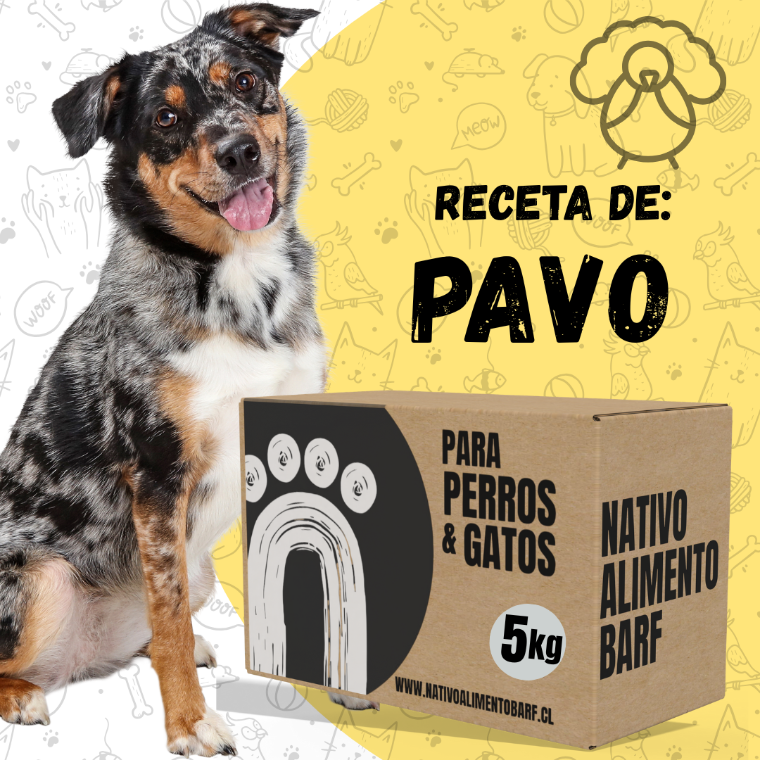 CAJA RECETA BALANCEADA PAVO PARA PERROS NATIVO (5kg)