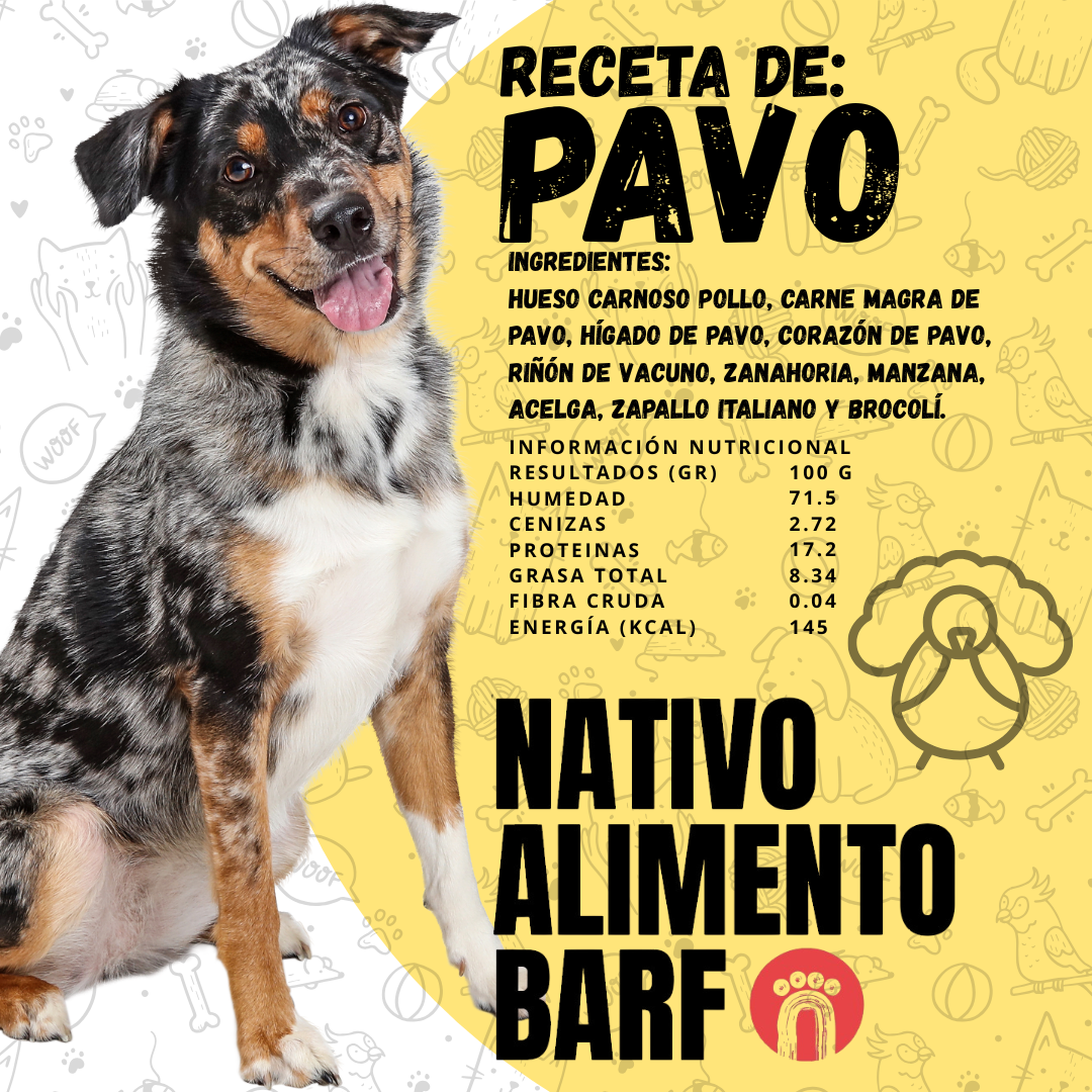 CAJA RECETA BALANCEADA PAVO PARA PERROS NATIVO (5kg)