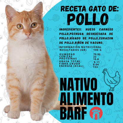 PACK 4Kg RECETA BALANCEADA PARA GATOS NATIVO