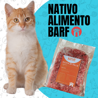 PACK 4Kg RECETA BALANCEADA PARA GATOS NATIVO