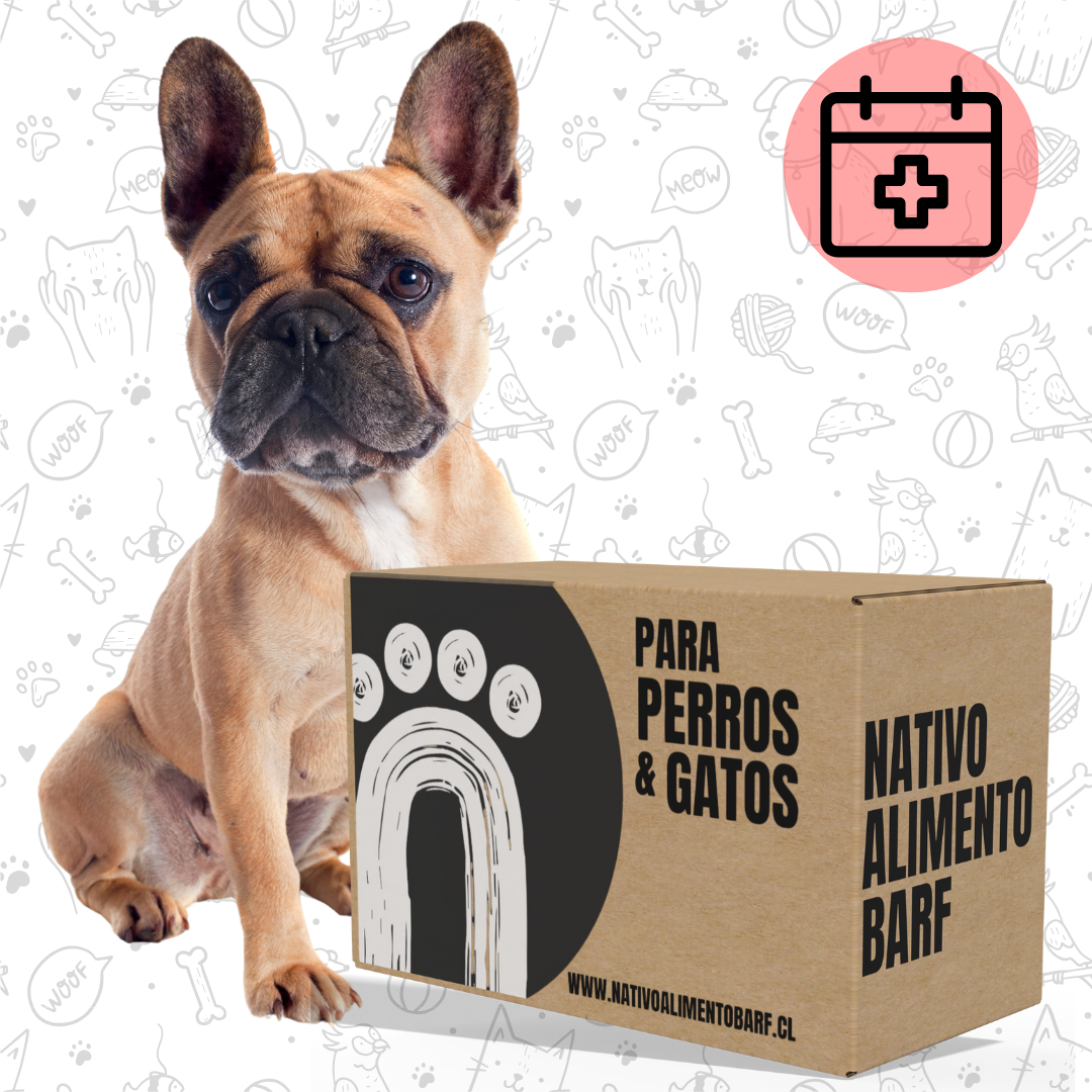 CAJA MONOPROTEICA VACUNO 500g  (PERROS ALERGICOS)