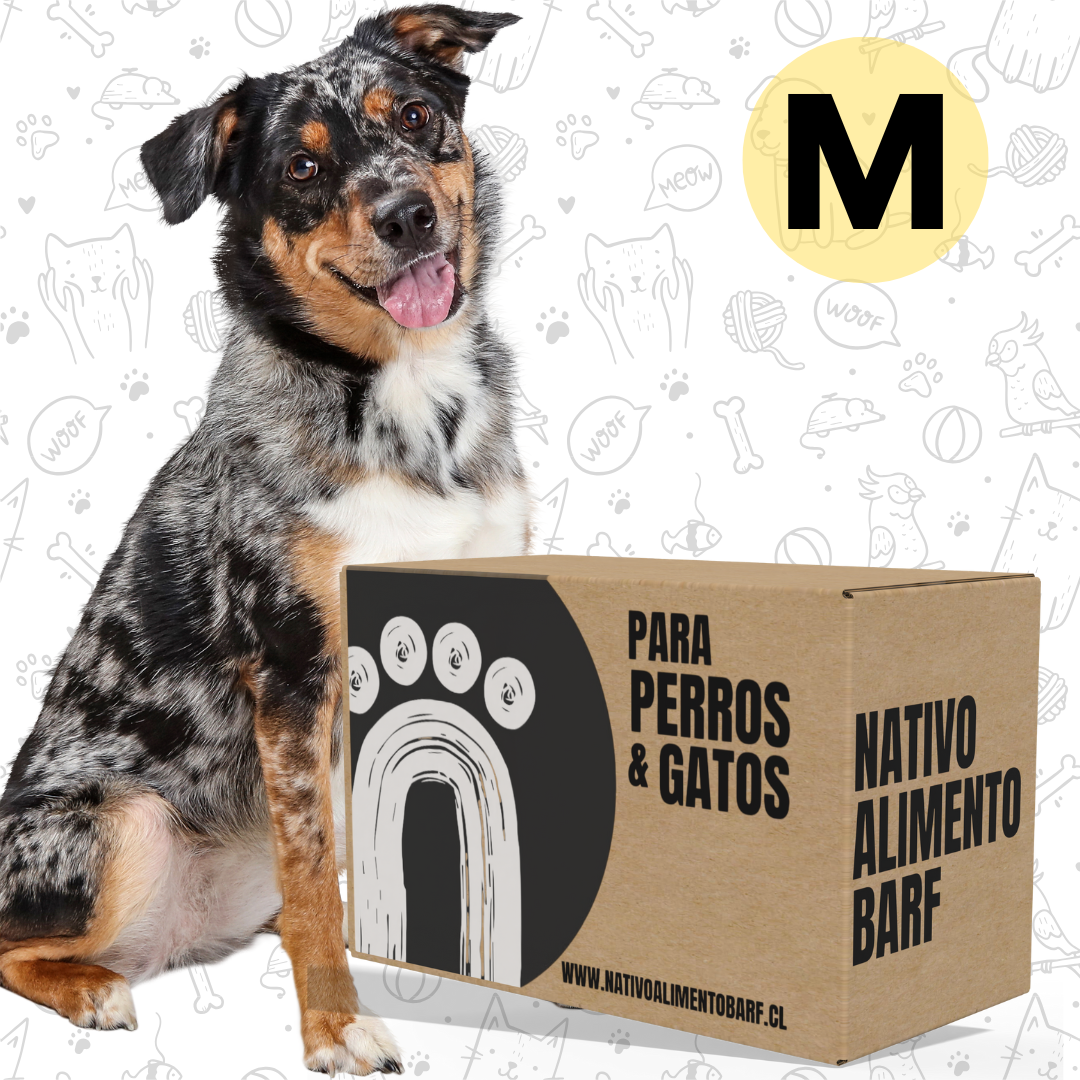 CAJA (M) RECETA BALANCEADA PARA PERROS NATIVO