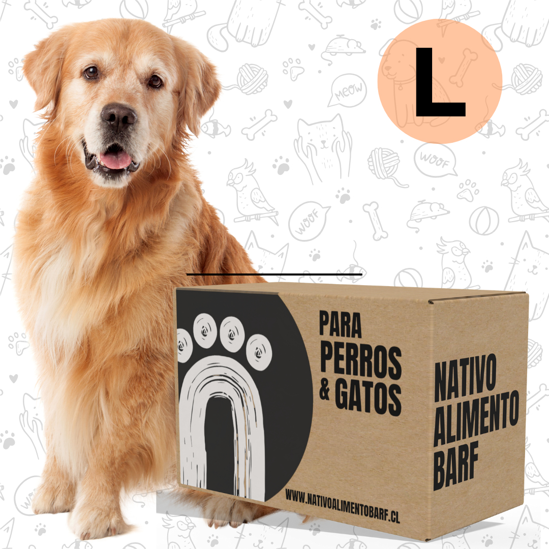 CAJA (L) RECETA BALANCEADA PARA PERROS NATIVO