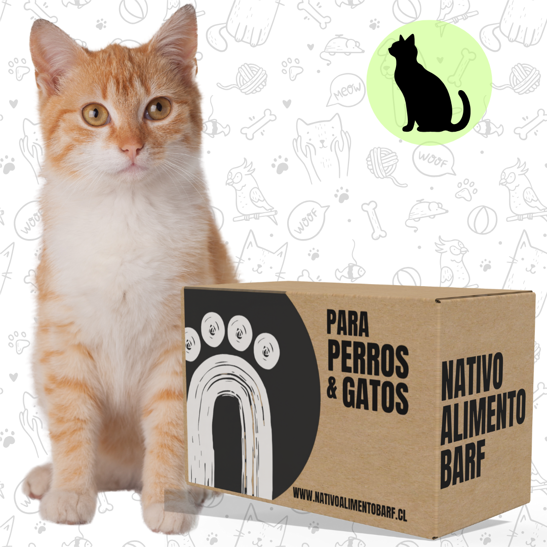 CAJA RECETA BALANCEADA PARA GATOS NATIVO