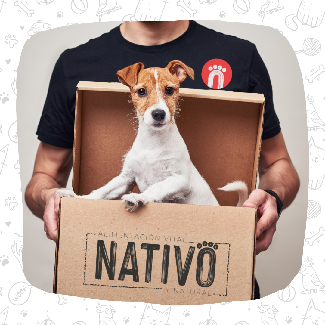 CAJA INICIO NATIVO PARA PERROS XS BOLSITAS FORMATO 200g (8 bolsitas)