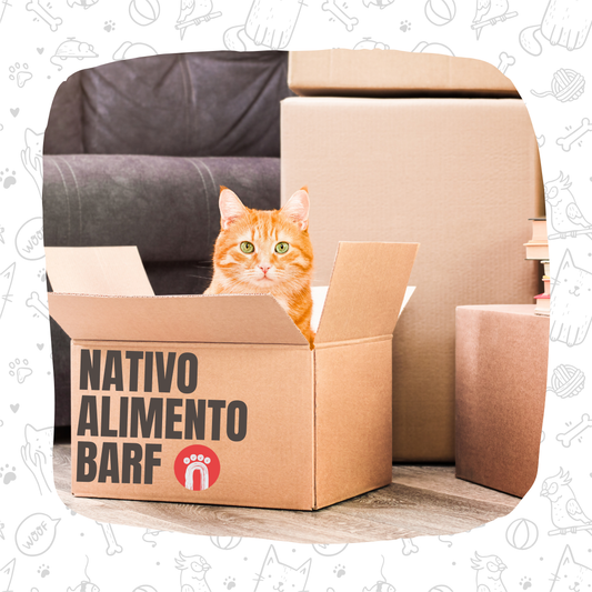 CAJA INICIO NATIVO PARA GATOS XS BOLSITAS FORMATO 200g (8 bolsitas)